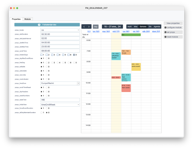 FM GCalendar — Customization